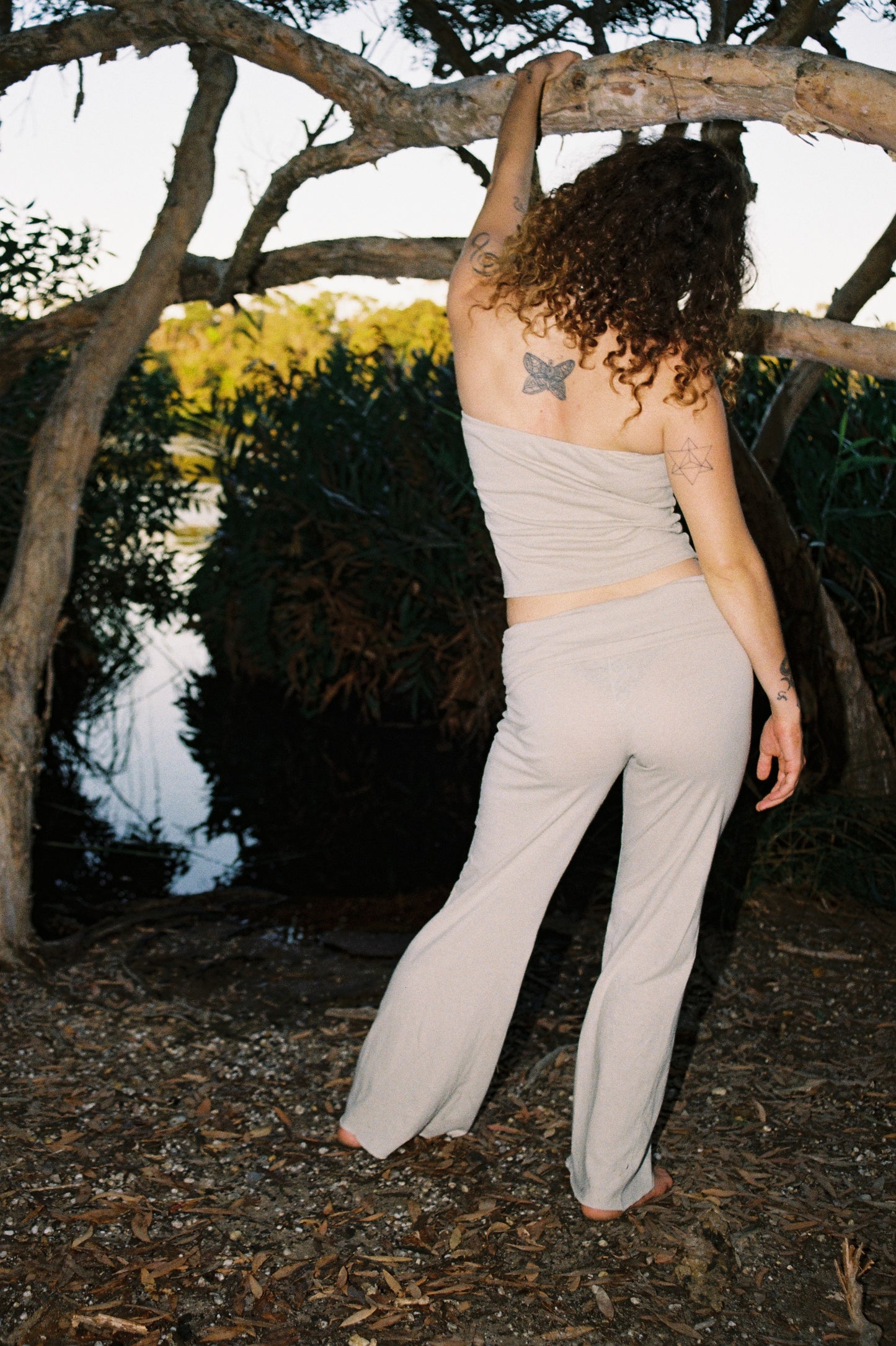 Mangrove Stretch Flares