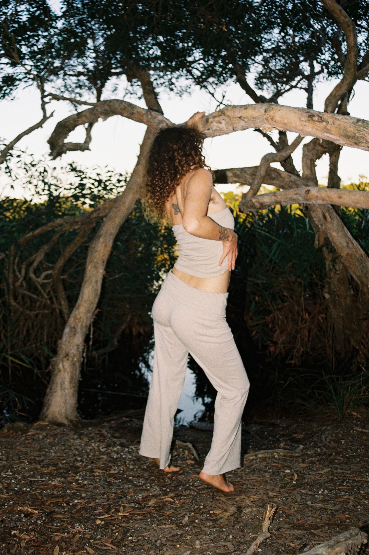 Mangrove Stretch Flares