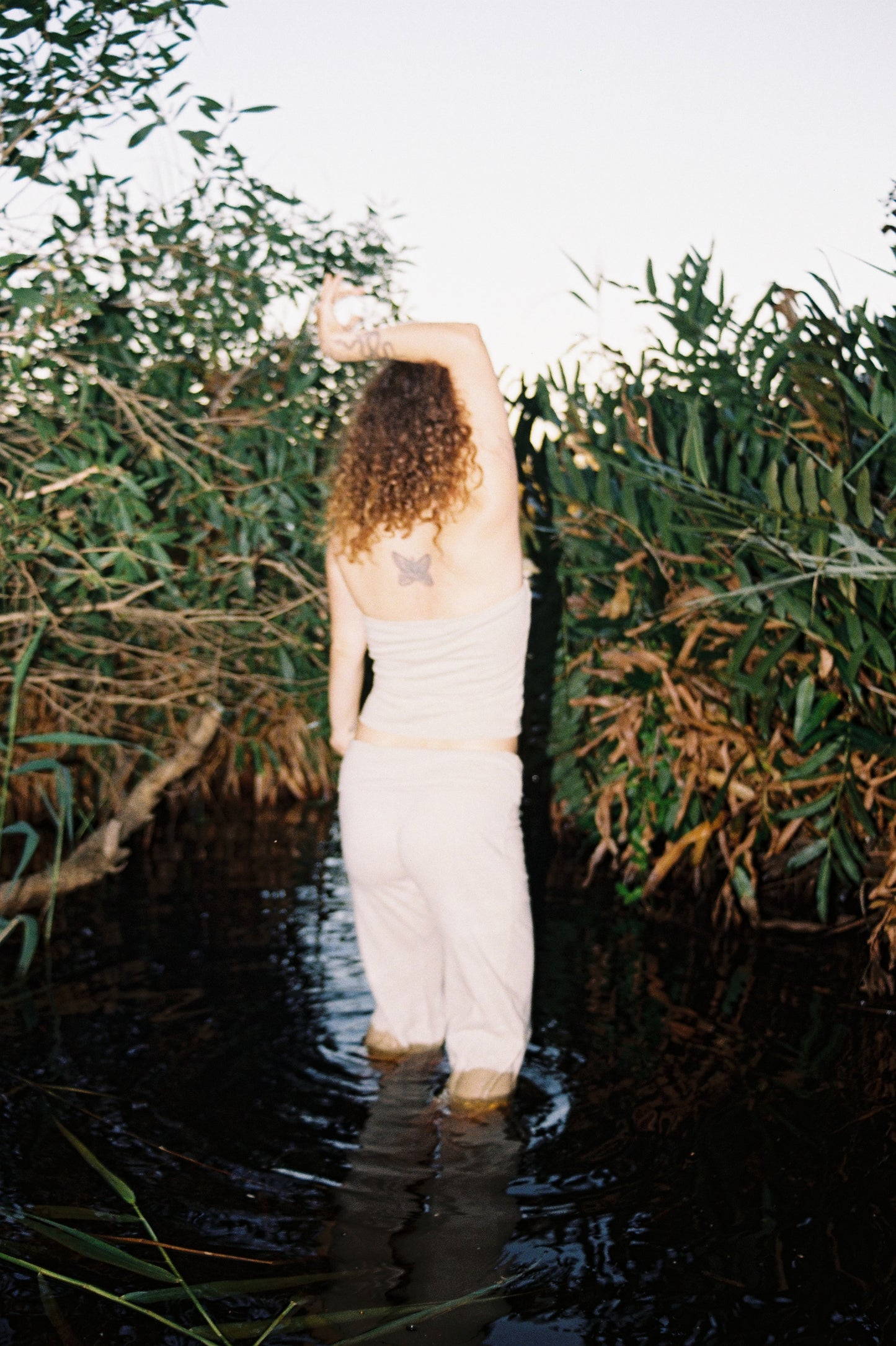 Mangrove Stretch Flares
