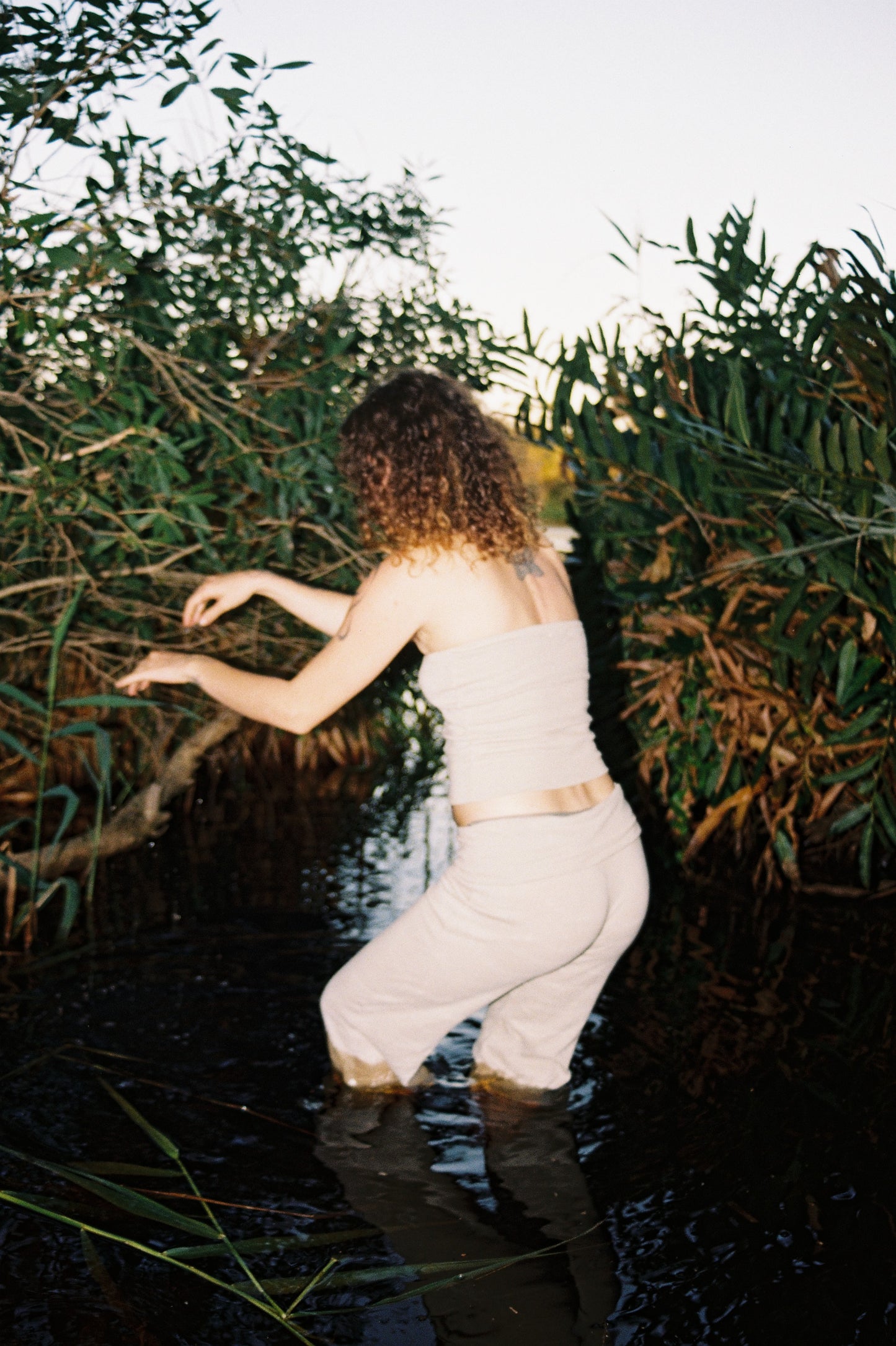 Mangrove Stretch Flares