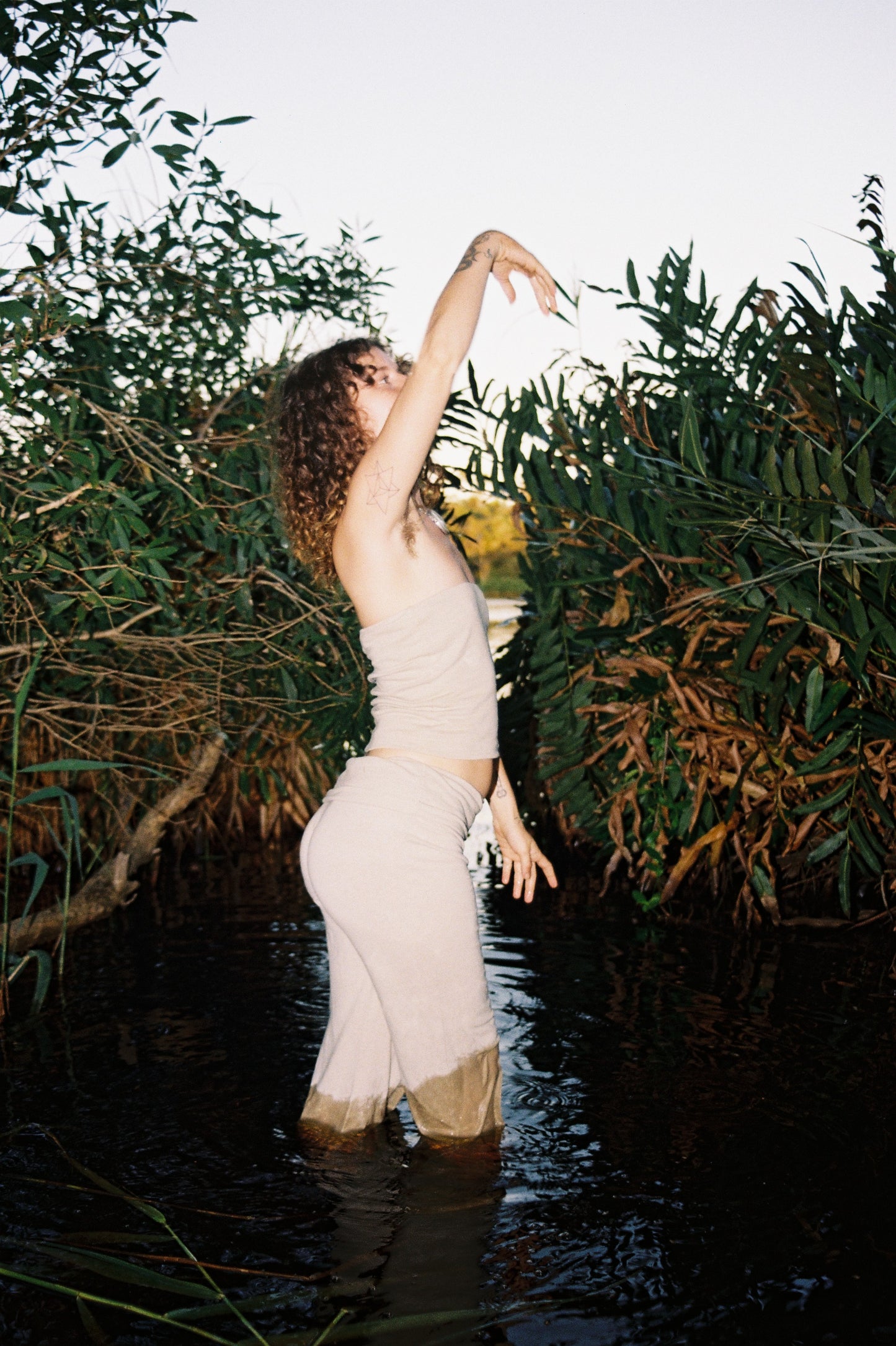 Mangrove Stretch Flares