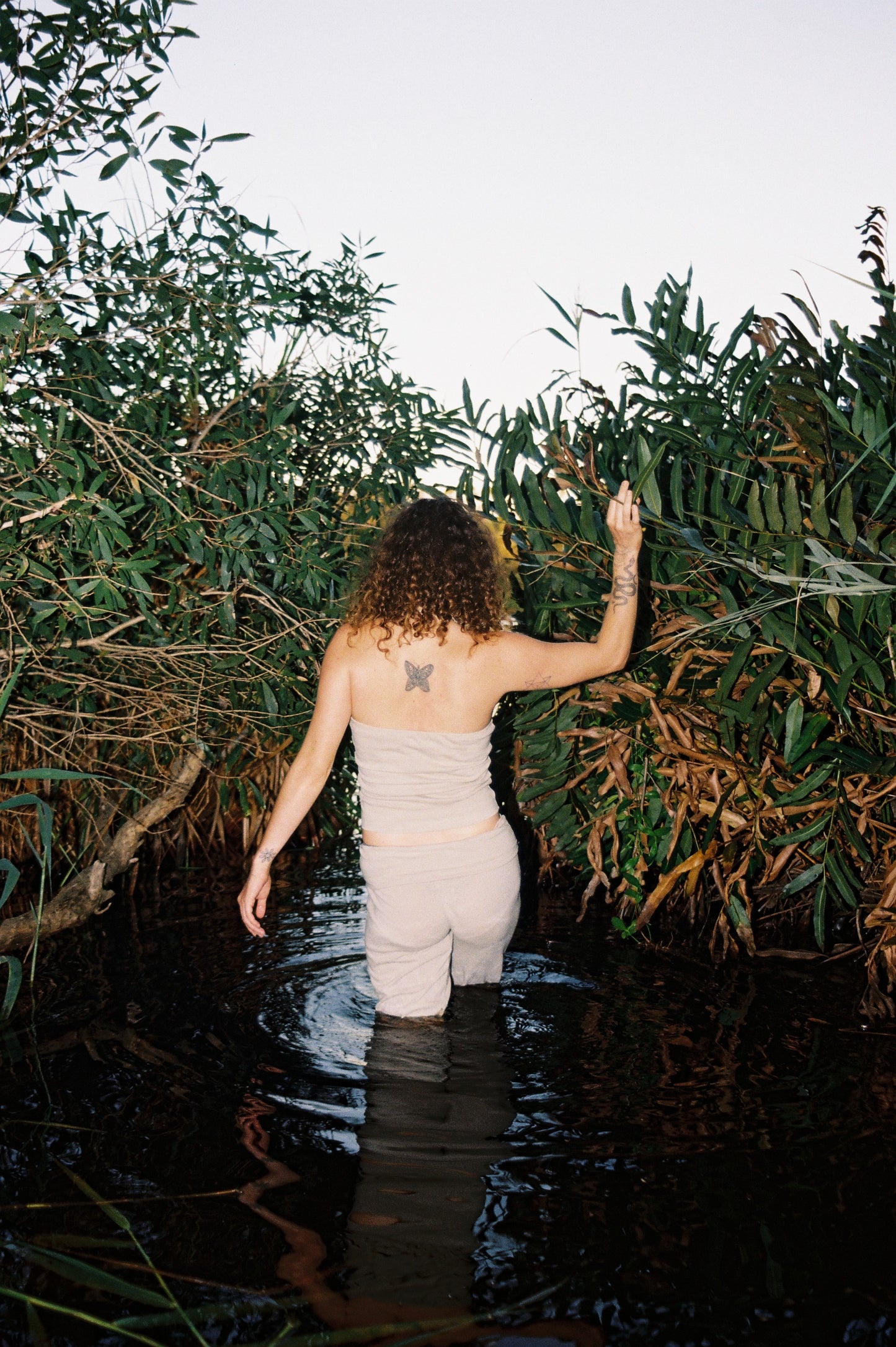 Mangrove Stretch Flares